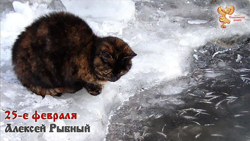 25-е февраля