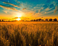 Как найти в&nbsp;себе силы переехать из&nbsp;города на&nbsp;землю. НАЧАЛО