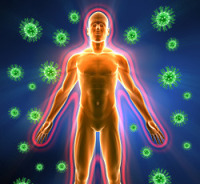 Природный иммунитет&nbsp;&mdash; основа здоровья.