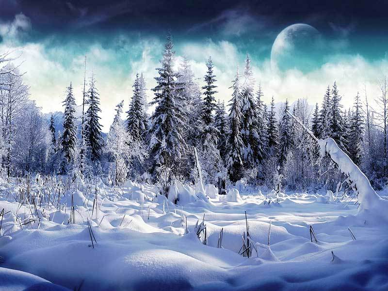 Начало Зимнего Успокоения Природы