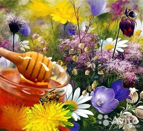 Травы и&nbsp;пчёлы для здоровья человека