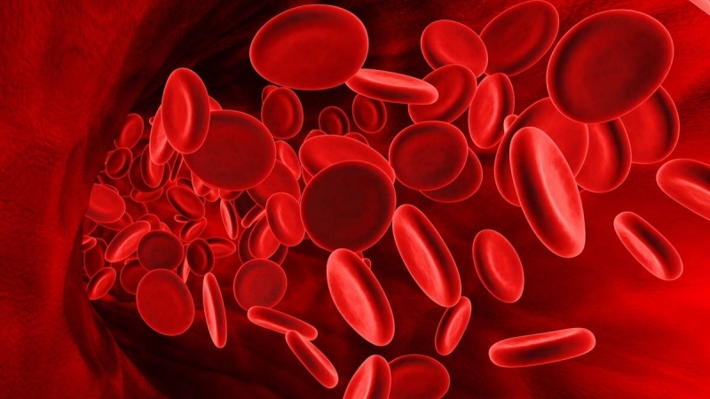 Бомбейский феномен: пятая группа крови