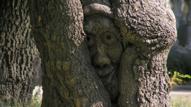 Почему мы стучим по дереву