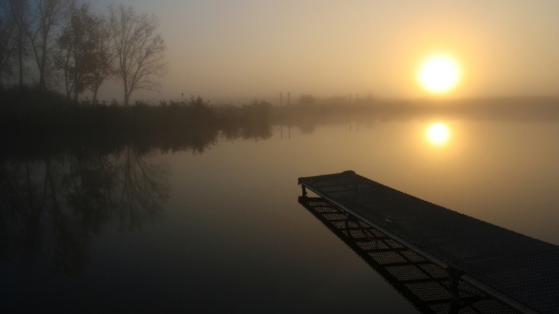 Цитируя суфийские притчи