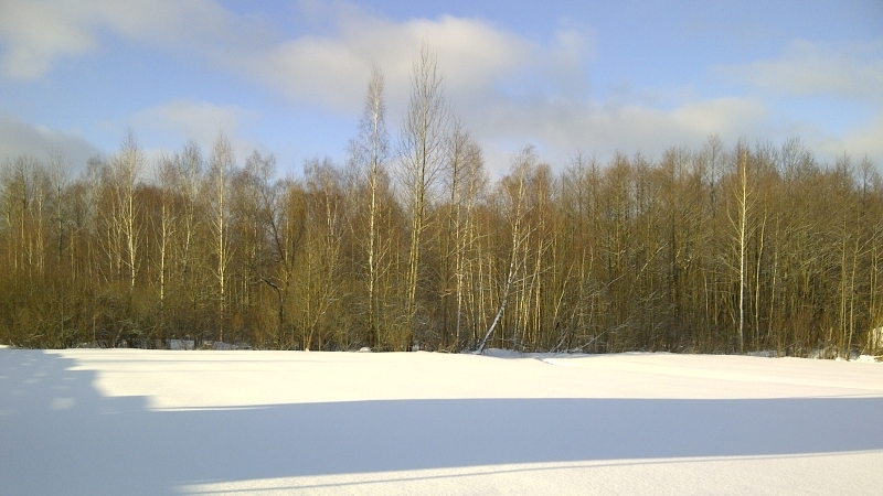 Земля - дом наш