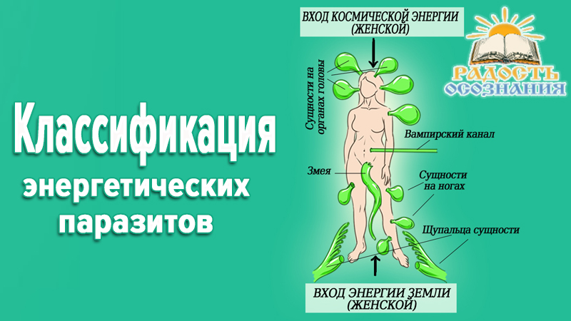 Классификация энергетических паразитов