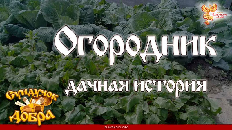 Сундучок Добра. Огородник