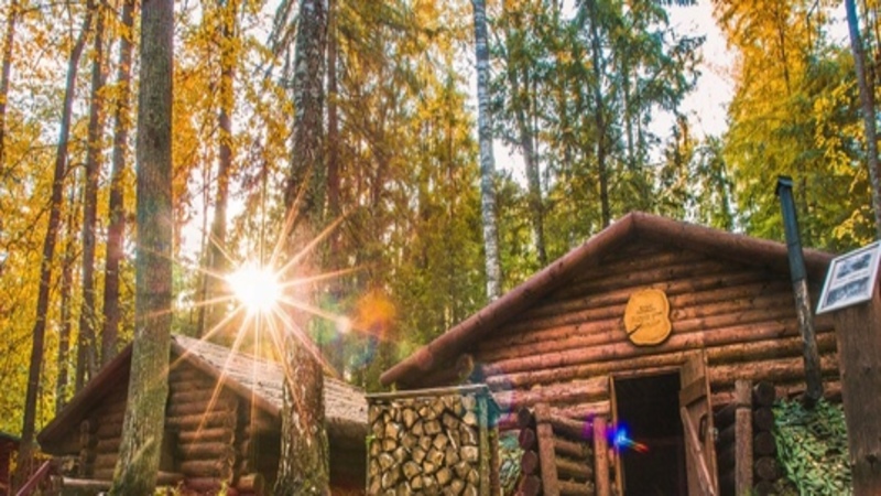 Фестиваль &laquo;Под солнцем осени&raquo;