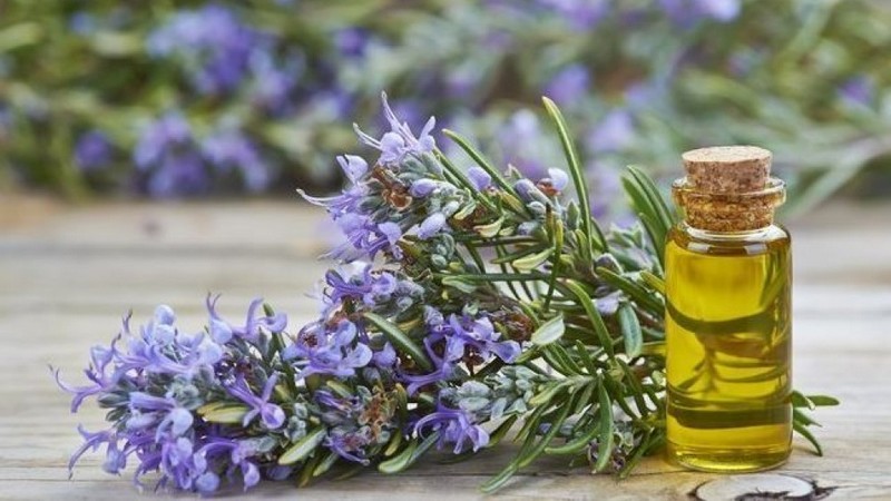 Влияние эфирных масел на тонкие тела человека