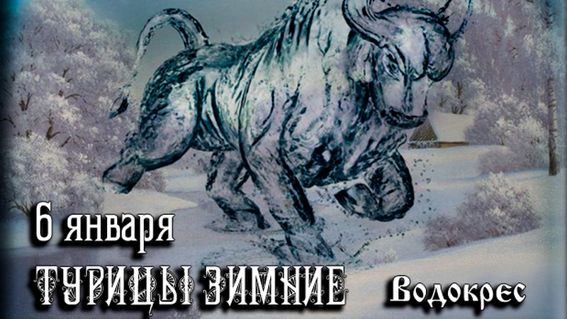 Турицы зимние. Водокрес