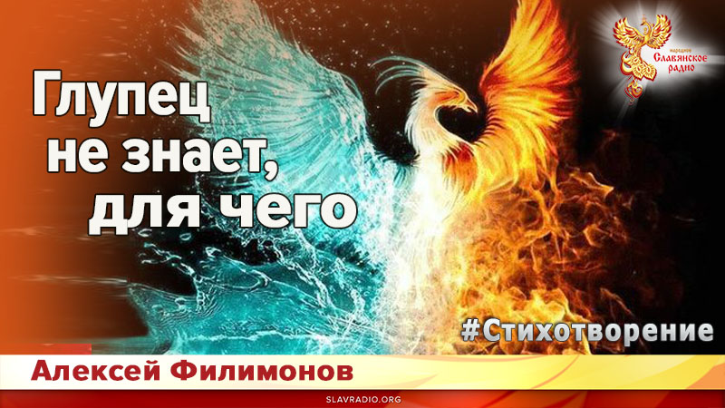 Глупец не знает, для чего 