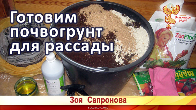 Готовим почвогрунт для рассады