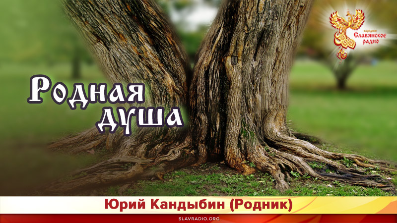 Родная душа