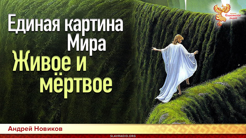 Единая картина Мира. Живое и мертвое