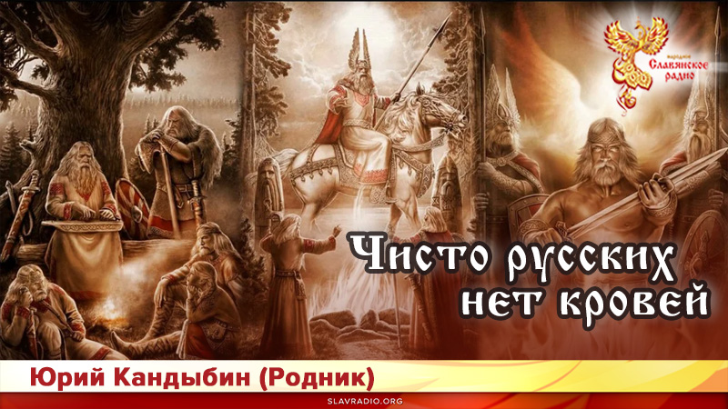 Чисто русских нет кровей 