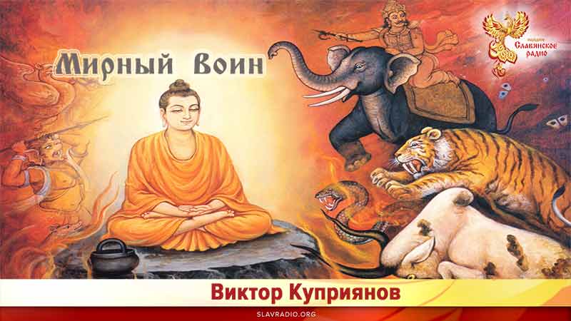 Мирный воин