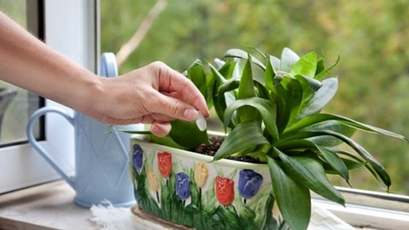 Простые и естественные средства... 