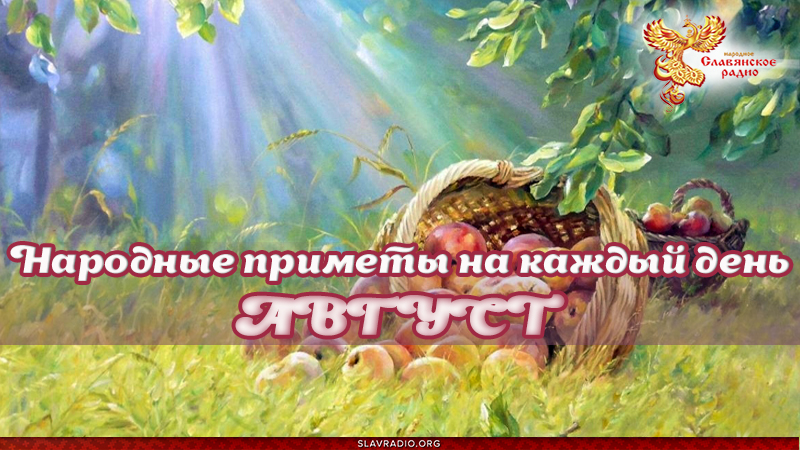 Народные приметы на каждый день. Август