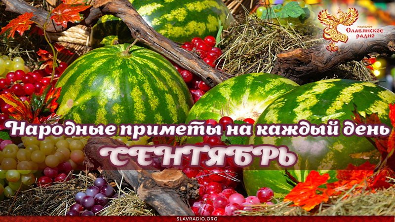 Народные приметы на каждый день. Сентябрь