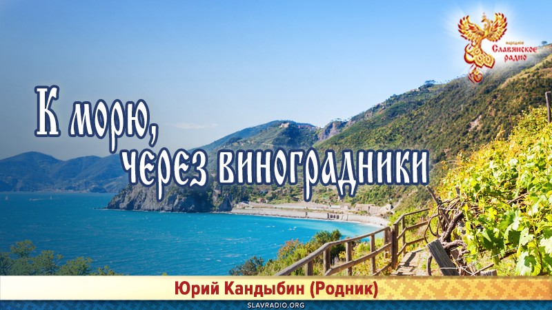 К морю, через виноградники 