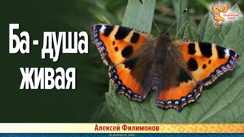 Ба - душа живая