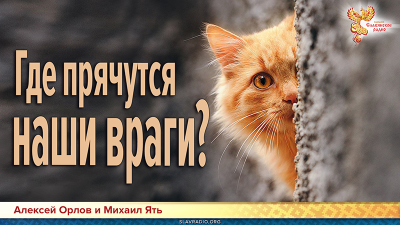 Где прячутся наши враги?  