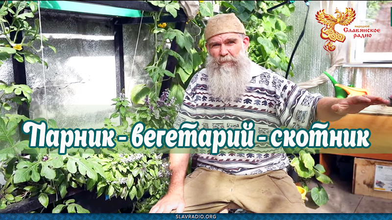 Парник - вегетарий - скотник 