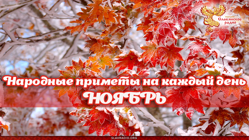 Народные приметы на каждый день. Ноябрь