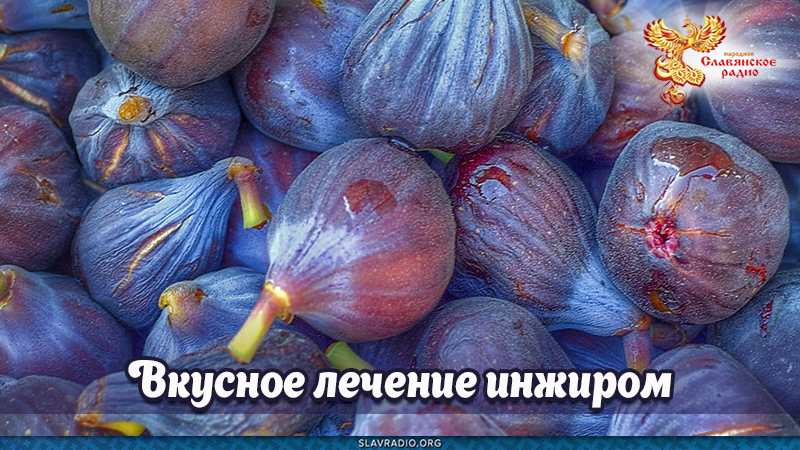 Вкусное лечение инжиром