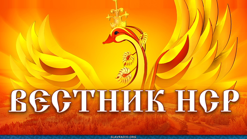 Вестник НСР. Выпуск 7