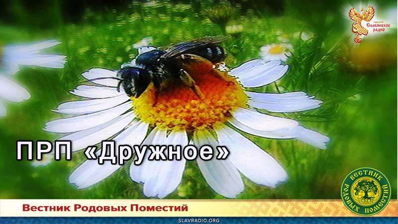 ПРП "Дружное"