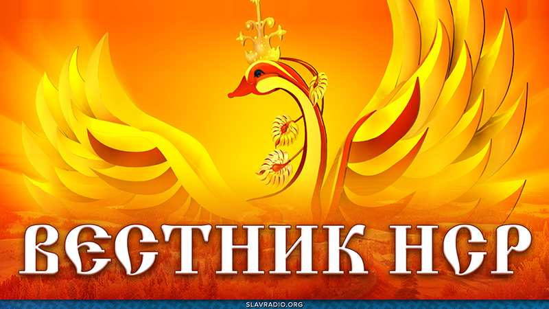 Вестник НСР. Выпуск 8