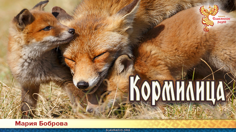 Кормилица 