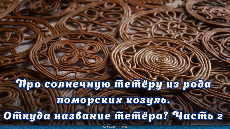 Про солнечную тетёру из рода поморских козуль. Откуда название тетёра? Часть 2