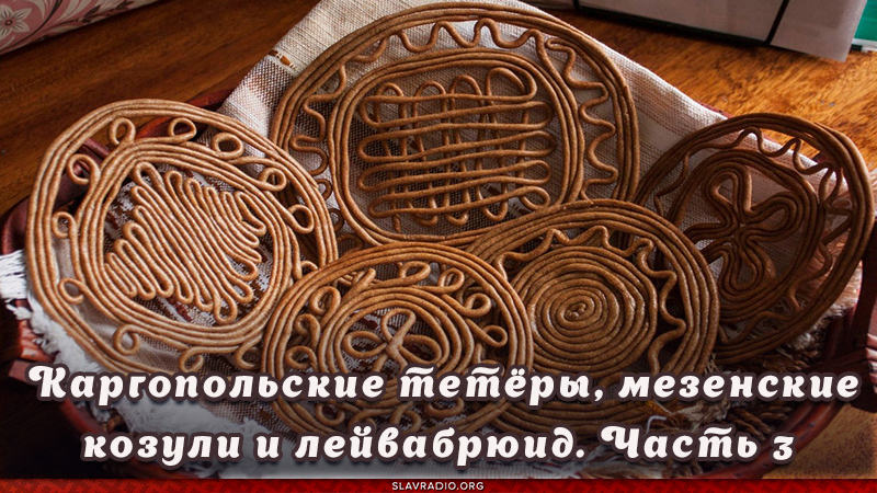 Солнечные тетёры из рода поморских козуль. Каргопольские тетёры, мезенские козули и лейвабрюид. Часть 3