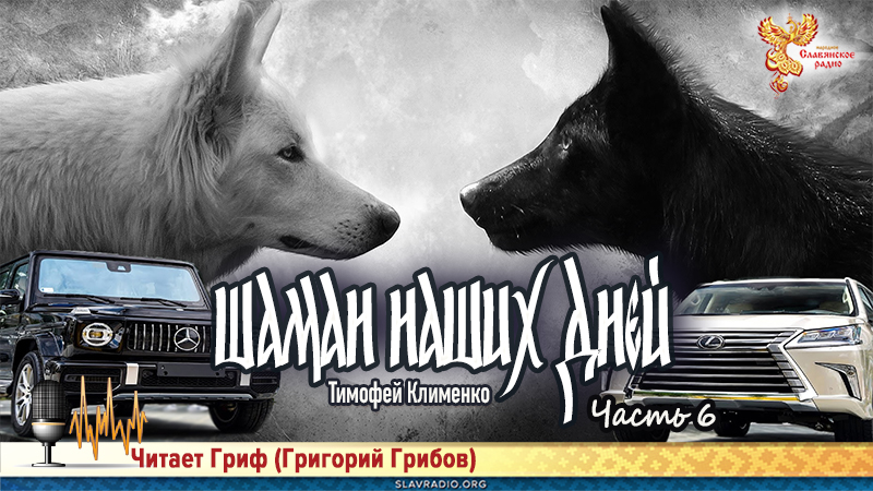 Шаман наших дней. Часть 6 