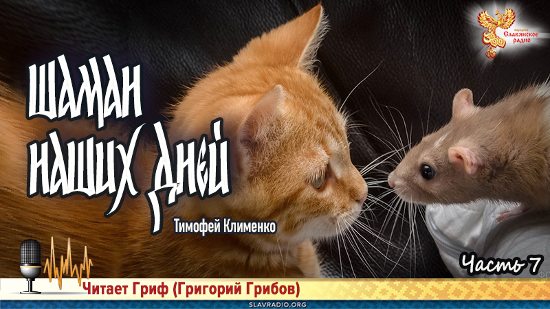 Шаман наших дней. Часть 7 