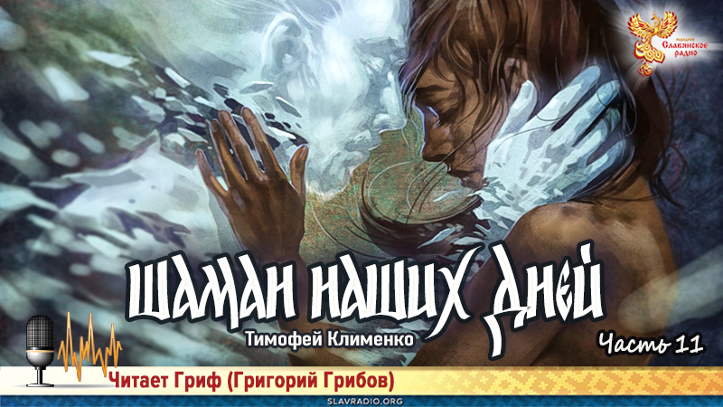 Шаман наших дней. Часть 11 