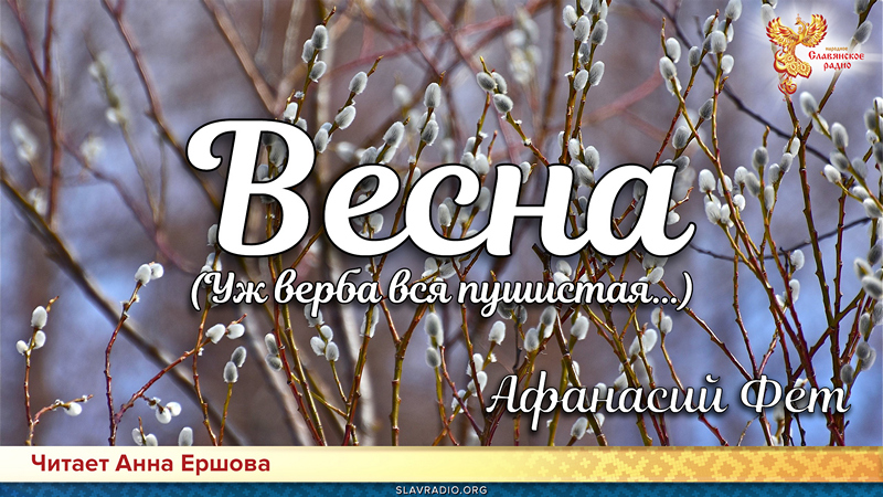 День поэзии. Афанасий Фет - Весна (Уж верба вся пушистая...)