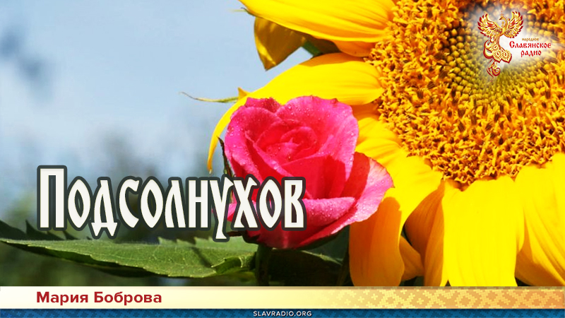 Подсолнухов