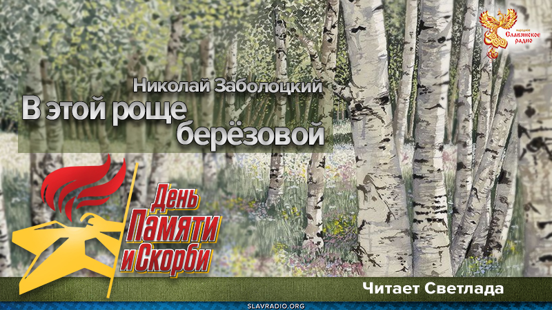 В этой роще берёзовой