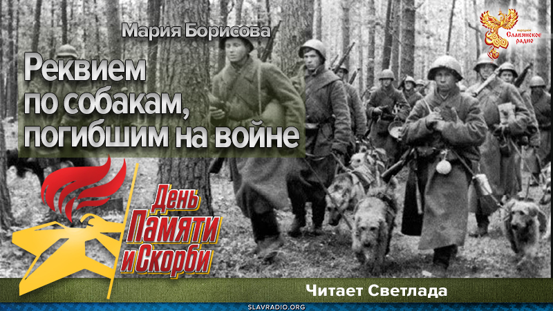 Реквием по собакам, погибшим на войне