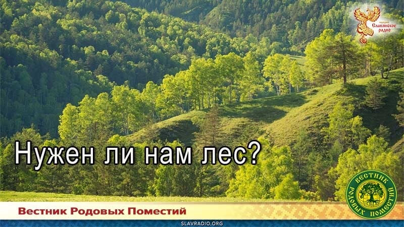 Нужен ли нам лес?