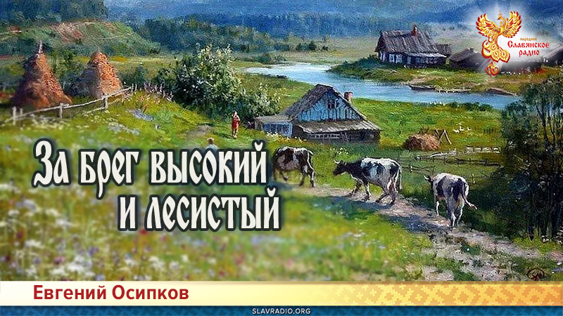 За брег высокий и лесистый