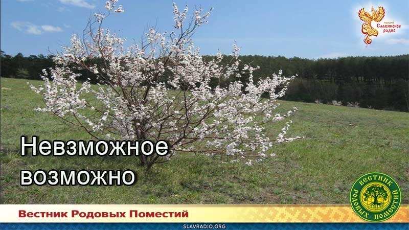 Невозможное возможно
