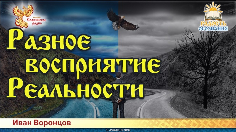 Разное восприятие реальности