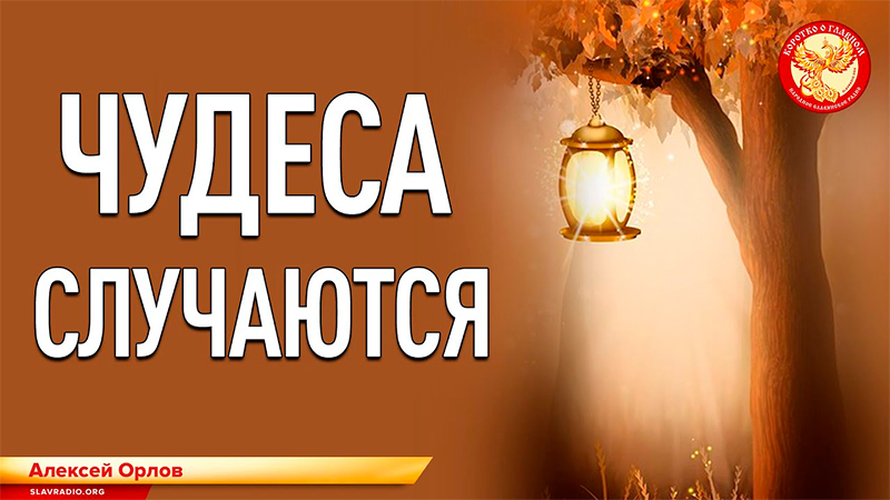 Чудеса случаются