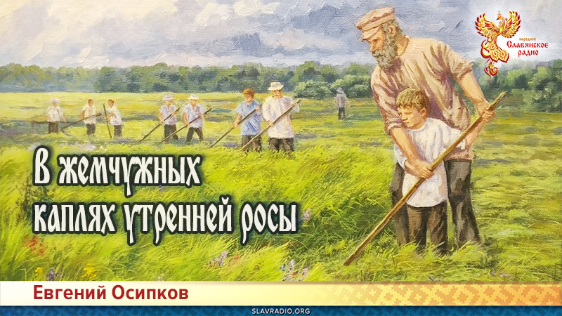 В жемчужных каплях утренней росы