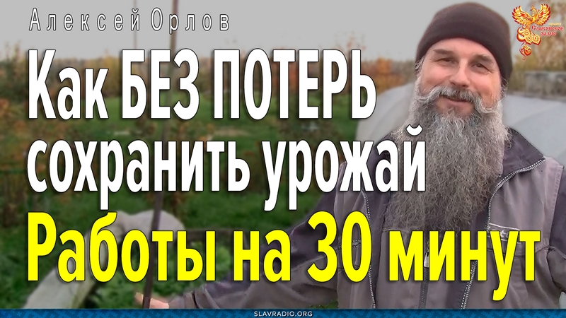 БЕЗ ПОТЕРЬ сохрани урожай до весны
