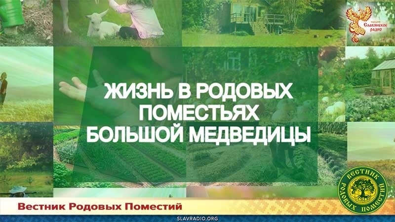 Жизнь в РП "Большой Медведицы"